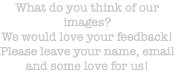 What do you think of our images? We would love your feedback! Please leave your name, email and some love for us!